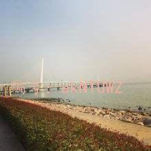 ˲